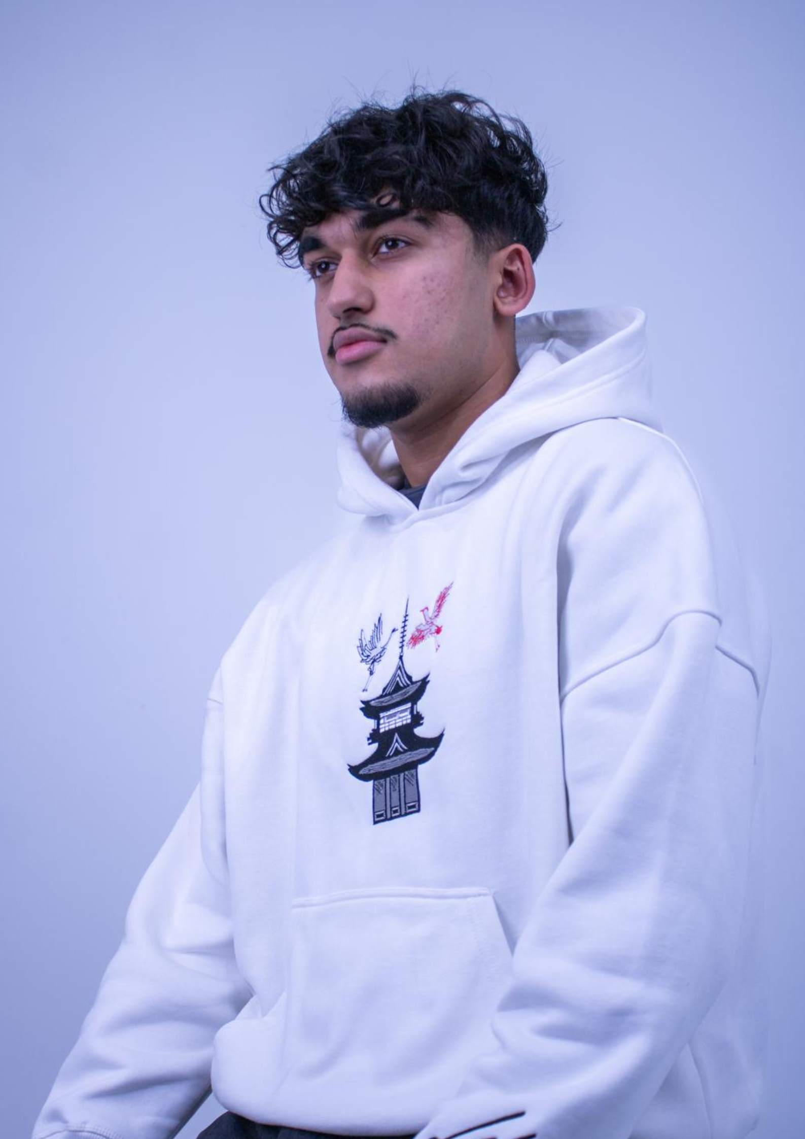 Pagoda rise | Premium White Unisex Hoodie